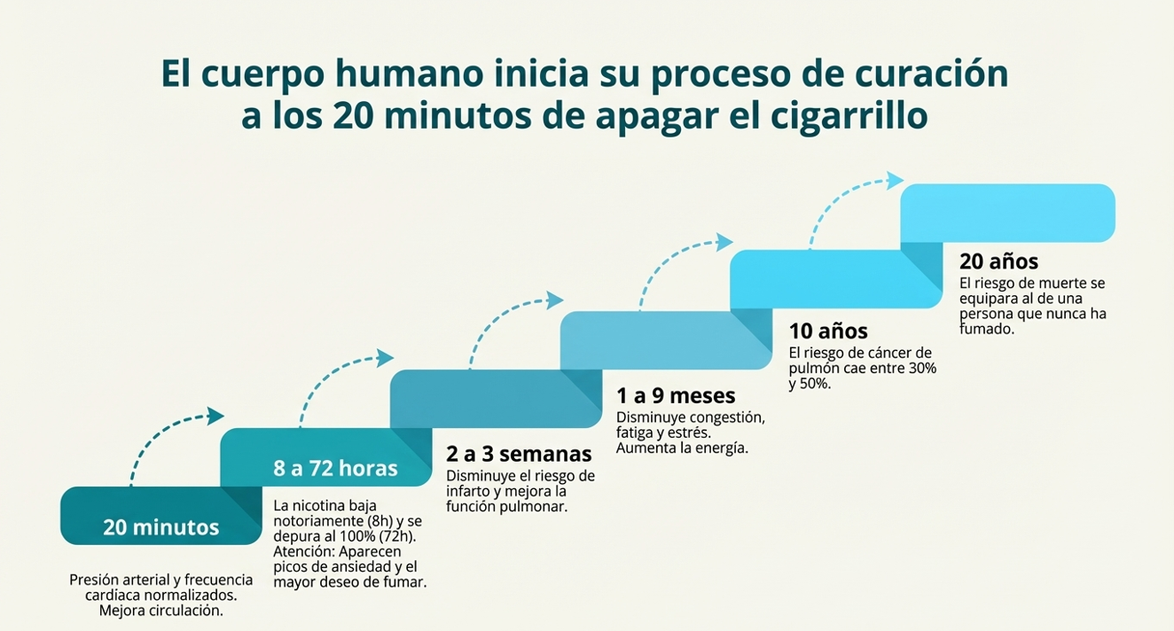 Cambios positivos en el organismo